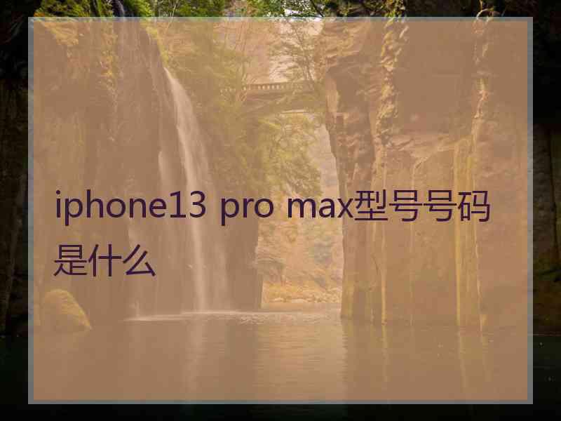 iphone13 pro max型号号码是什么