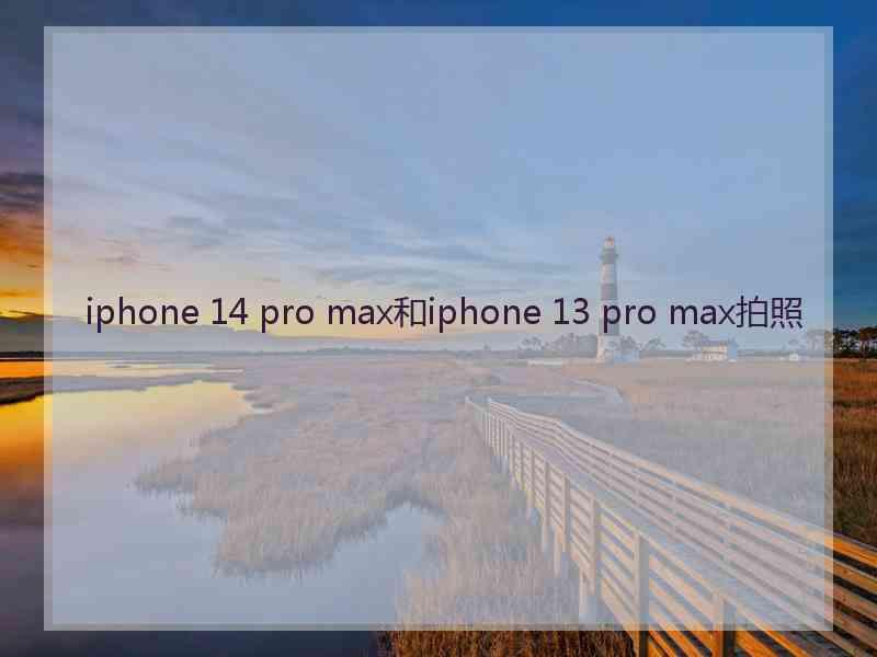 iphone 14 pro max和iphone 13 pro max拍照