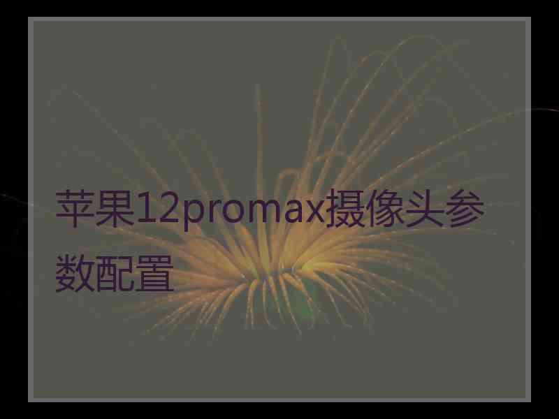 苹果12promax摄像头参数配置