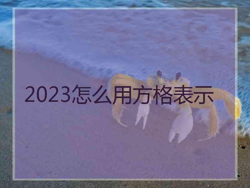 2023怎么用方格表示