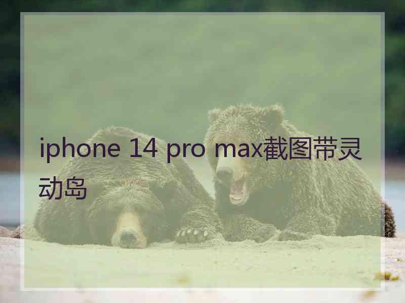 iphone 14 pro max截图带灵动岛