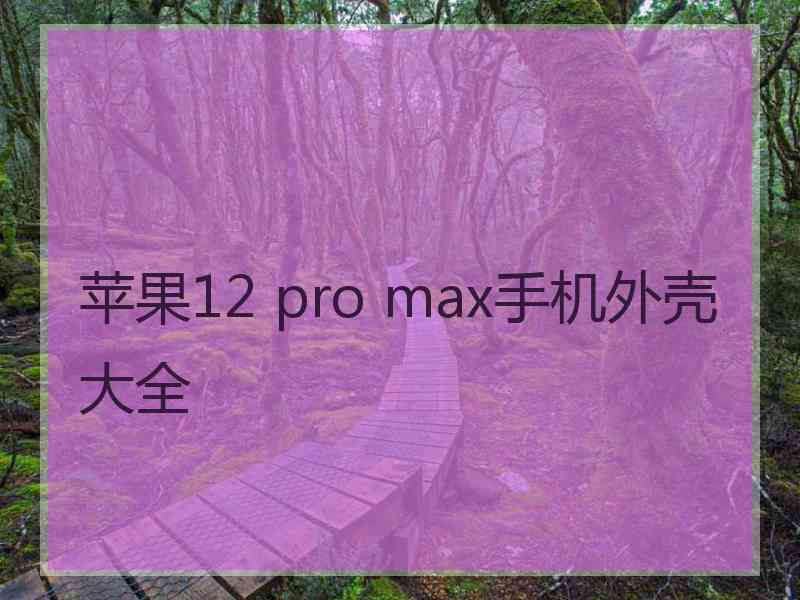 苹果12 pro max手机外壳大全