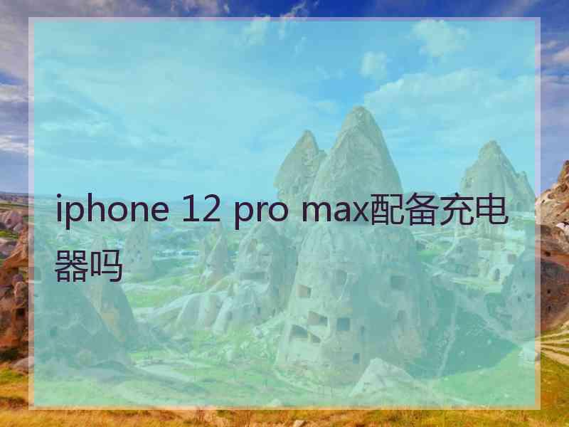 iphone 12 pro max配备充电器吗