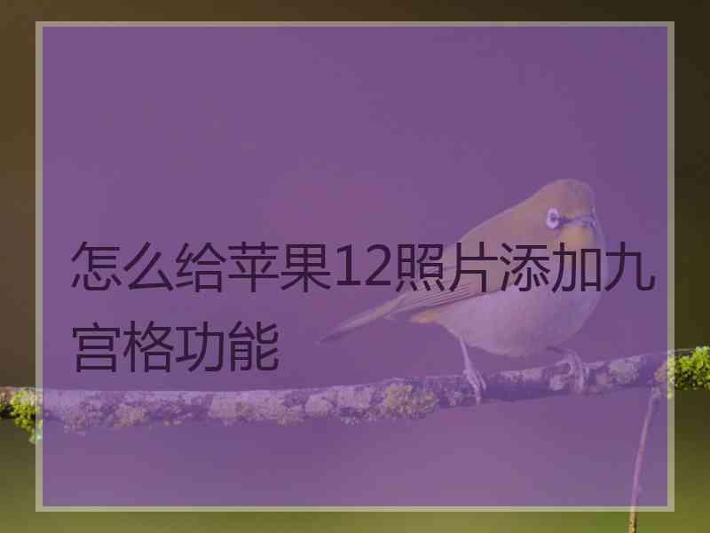 怎么给苹果12照片添加九宫格功能