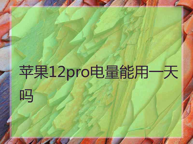 苹果12pro电量能用一天吗