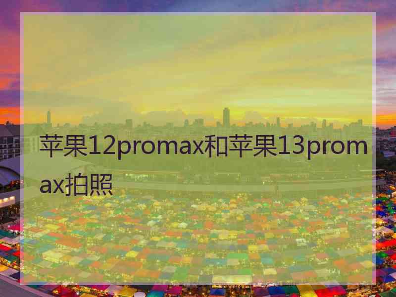 苹果12promax和苹果13promax拍照