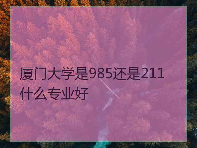 厦门大学是985还是211什么专业好