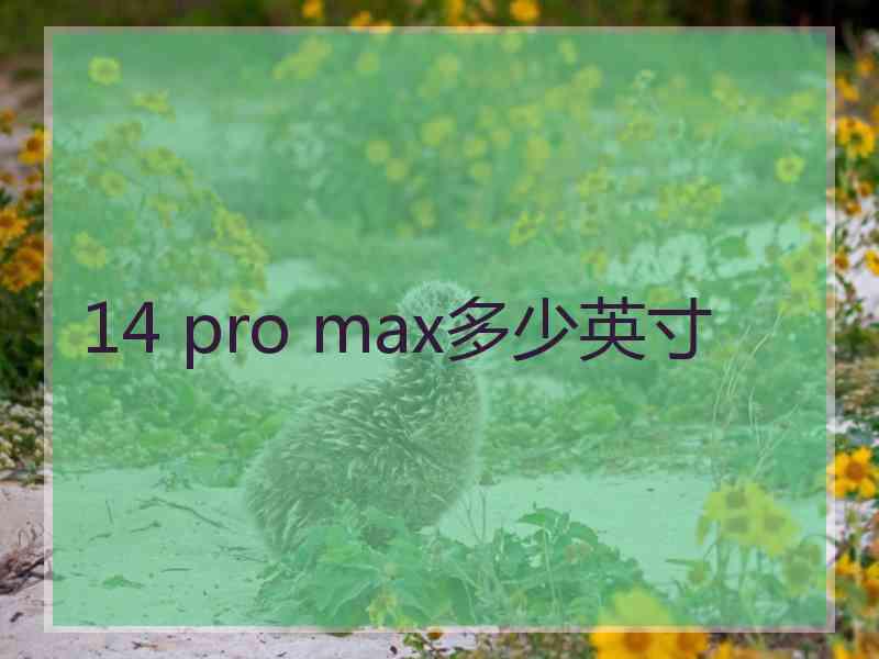 14 pro max多少英寸