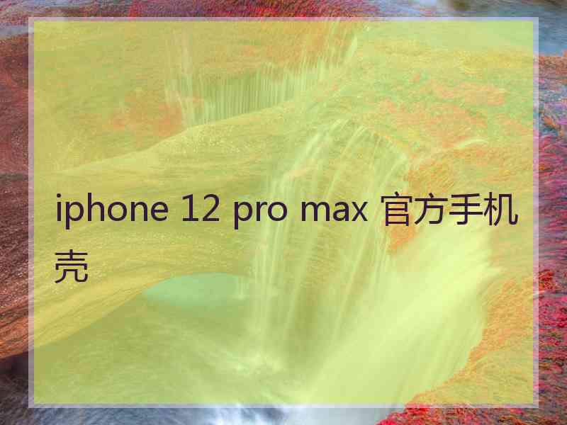 iphone 12 pro max 官方手机壳