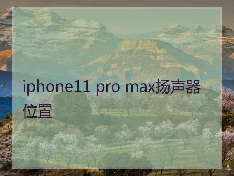 iphone11 pro max扬声器位置