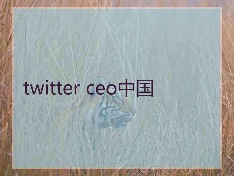 twitter ceo中国