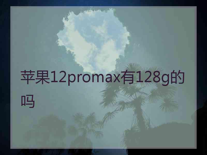 苹果12promax有128g的吗