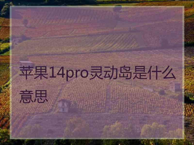 苹果14pro灵动岛是什么意思