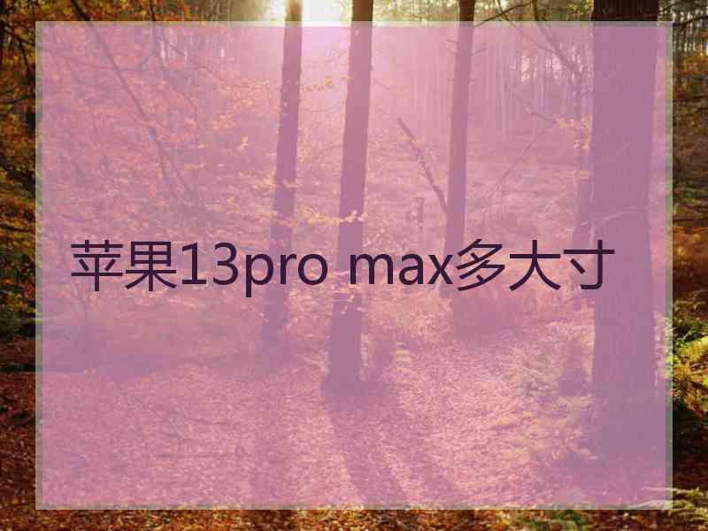 苹果13pro max多大寸