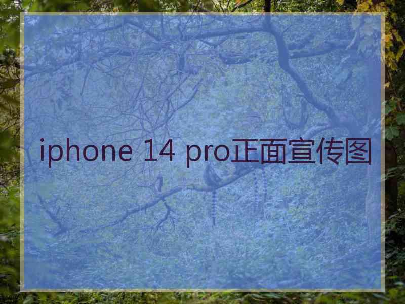 iphone 14 pro正面宣传图