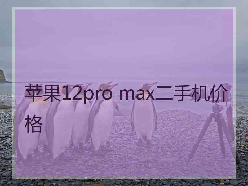 苹果12pro max二手机价格