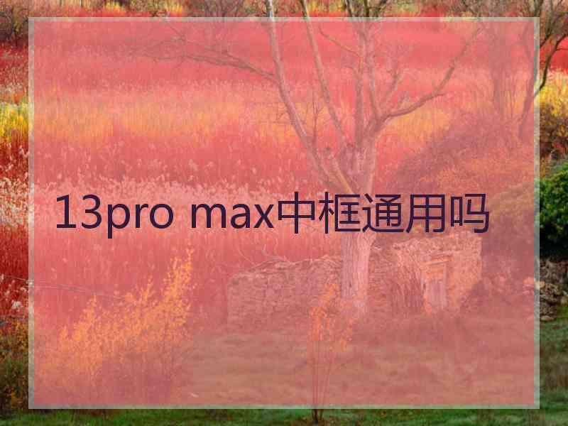 13pro max中框通用吗