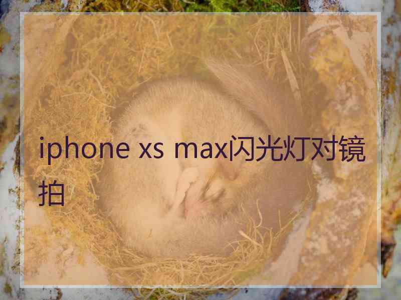 iphone xs max闪光灯对镜拍