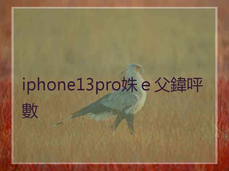 iphone13pro姝ｅ父鍏呯數