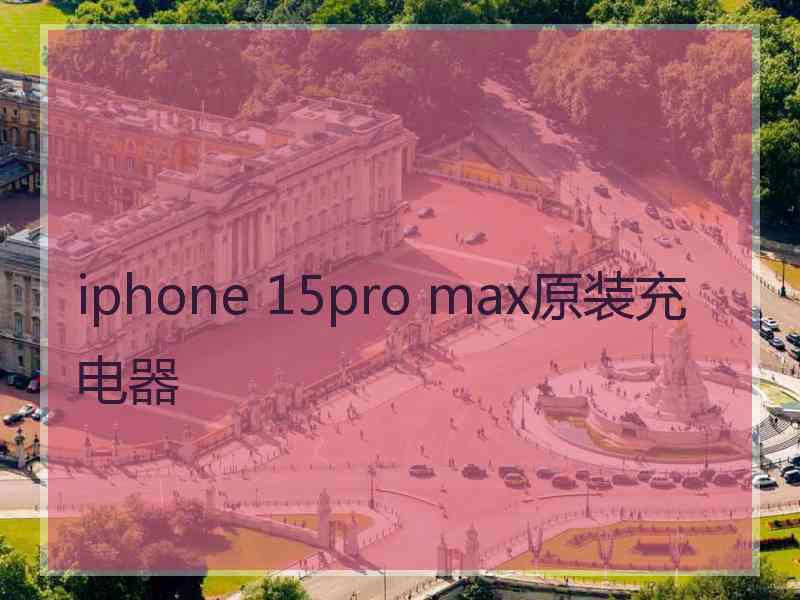 iphone 15pro max原装充电器