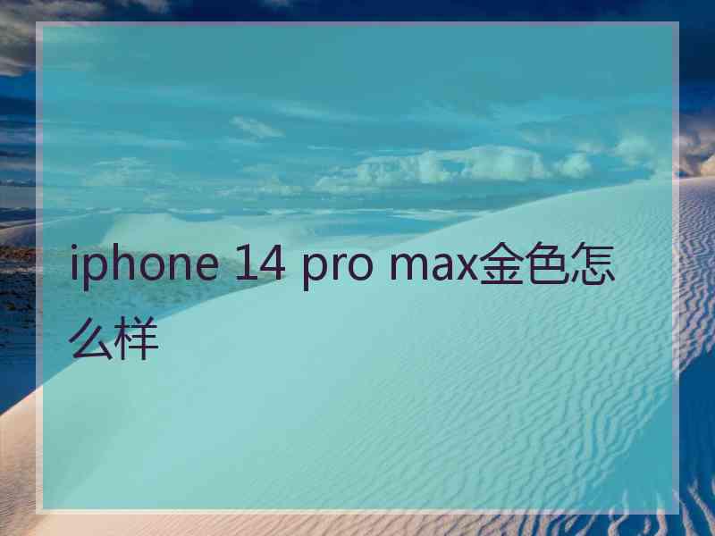 iphone 14 pro max金色怎么样