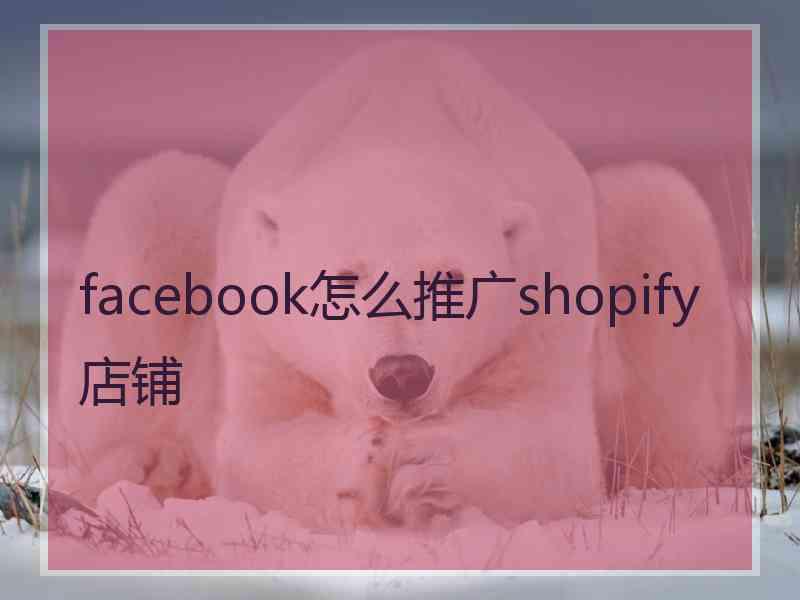 facebook怎么推广shopify店铺