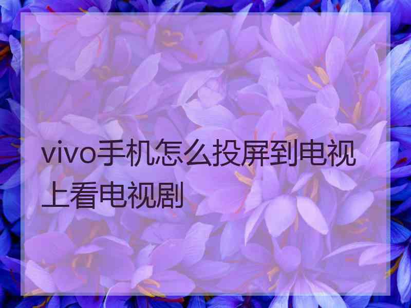 vivo手机怎么投屏到电视上看电视剧