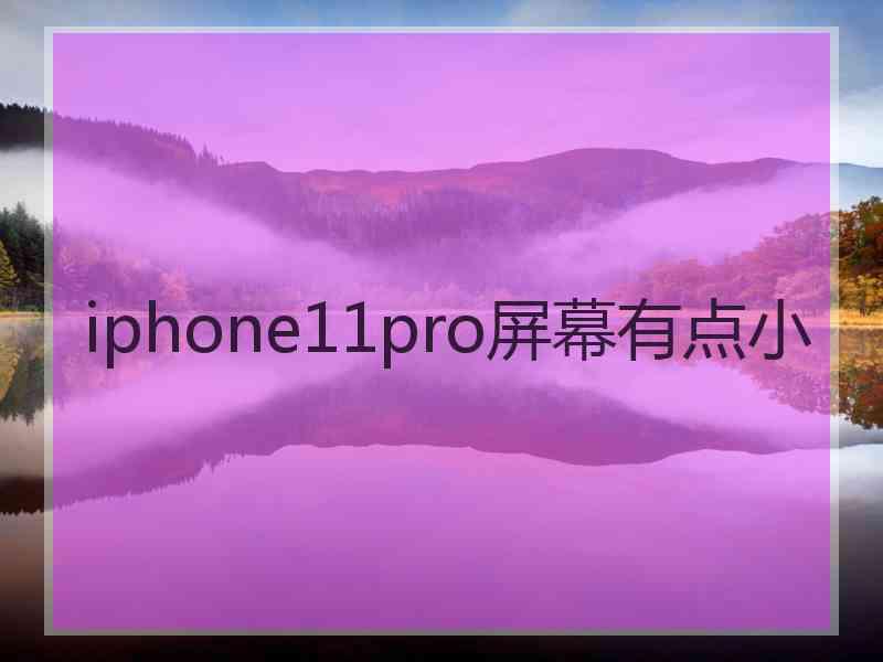 iphone11pro屏幕有点小