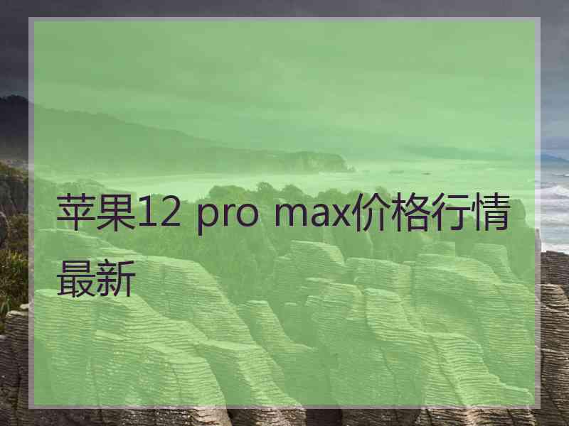 苹果12 pro max价格行情最新