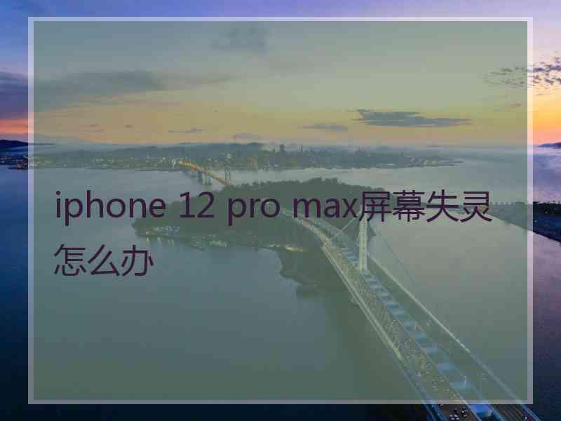 iphone 12 pro max屏幕失灵怎么办