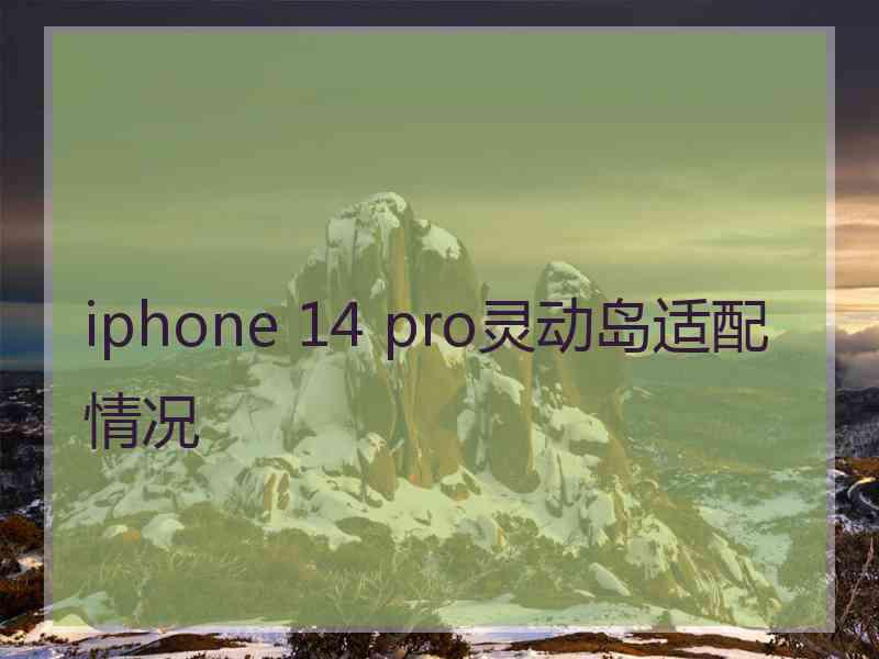 iphone 14 pro灵动岛适配情况