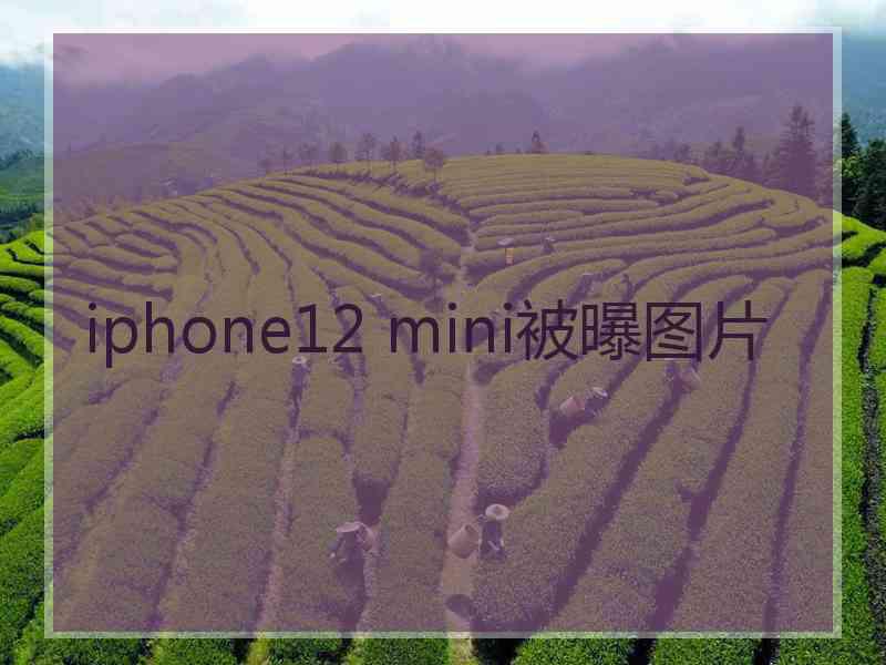 iphone12 mini被曝图片