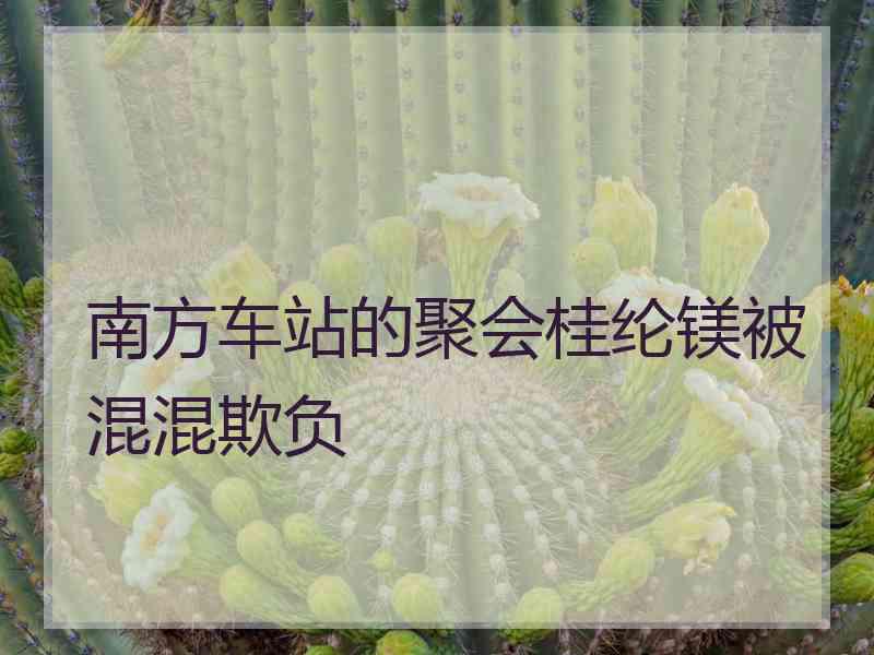 南方车站的聚会桂纶镁被混混欺负