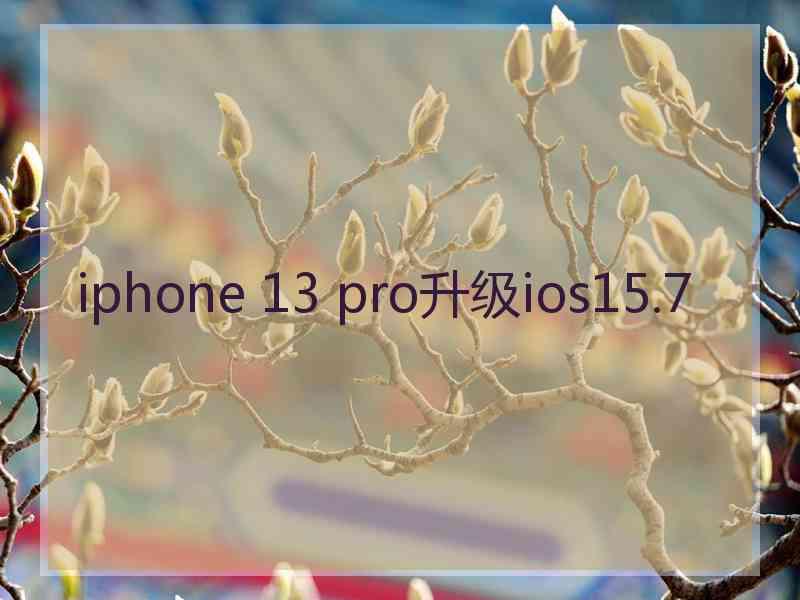 iphone 13 pro升级ios15.7