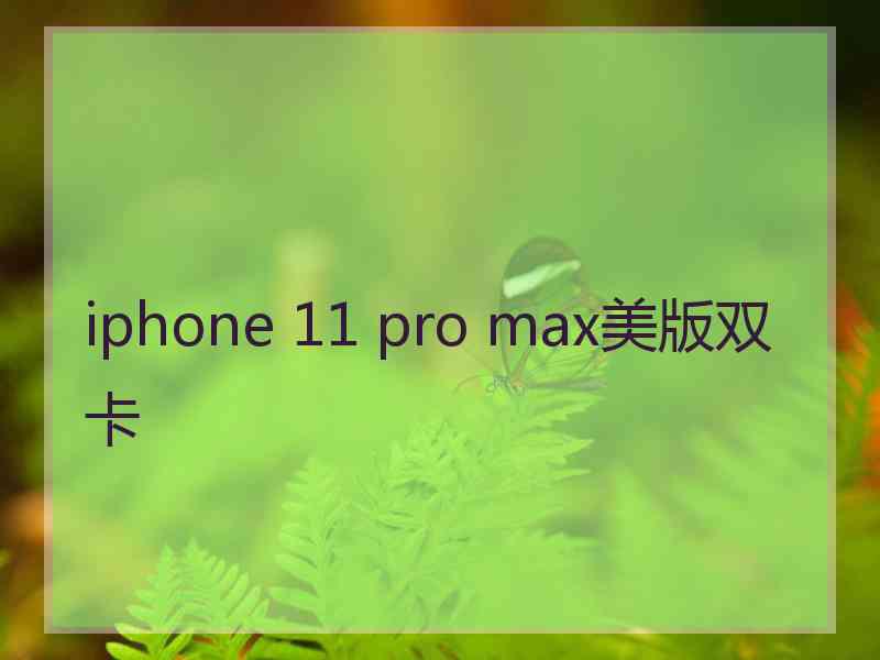 iphone 11 pro max美版双卡