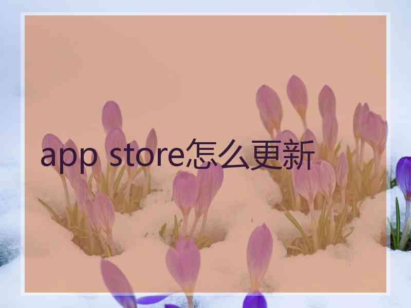 app store怎么更新