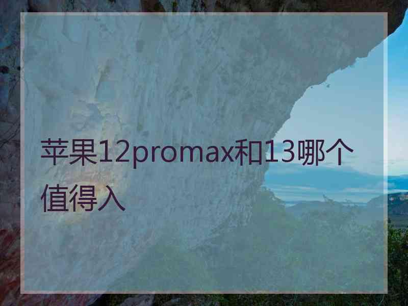 苹果12promax和13哪个值得入