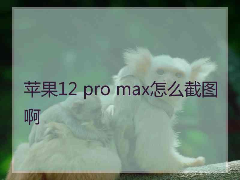 苹果12 pro max怎么截图啊