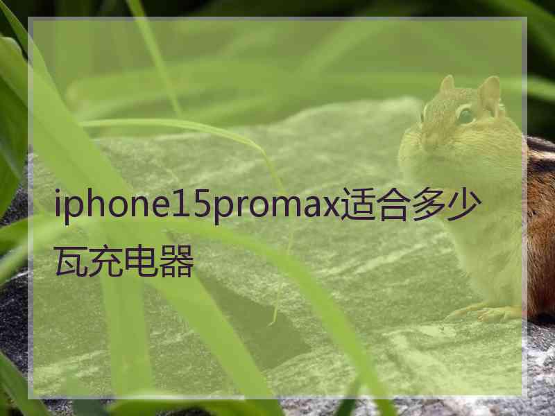 iphone15promax适合多少瓦充电器