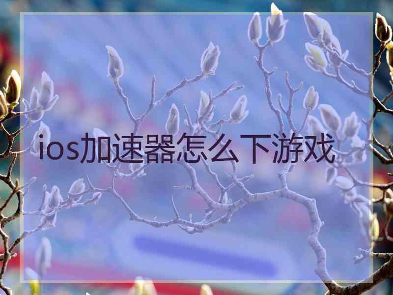 ios加速器怎么下游戏