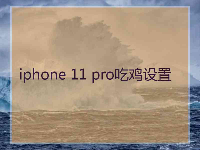 iphone 11 pro吃鸡设置