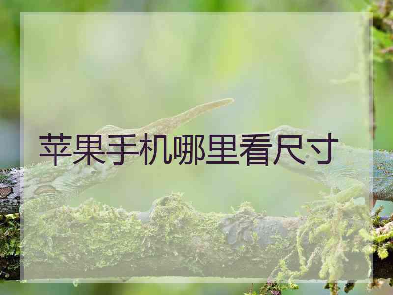 苹果手机哪里看尺寸