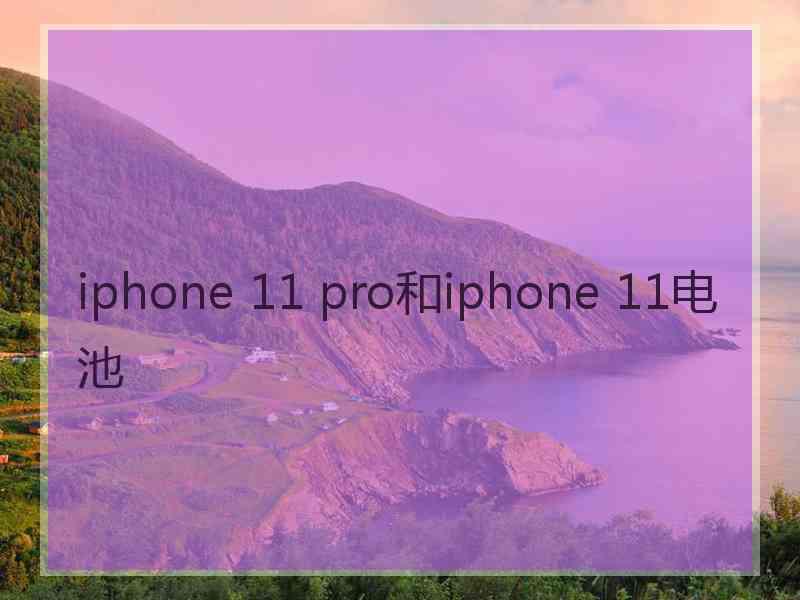 iphone 11 pro和iphone 11电池