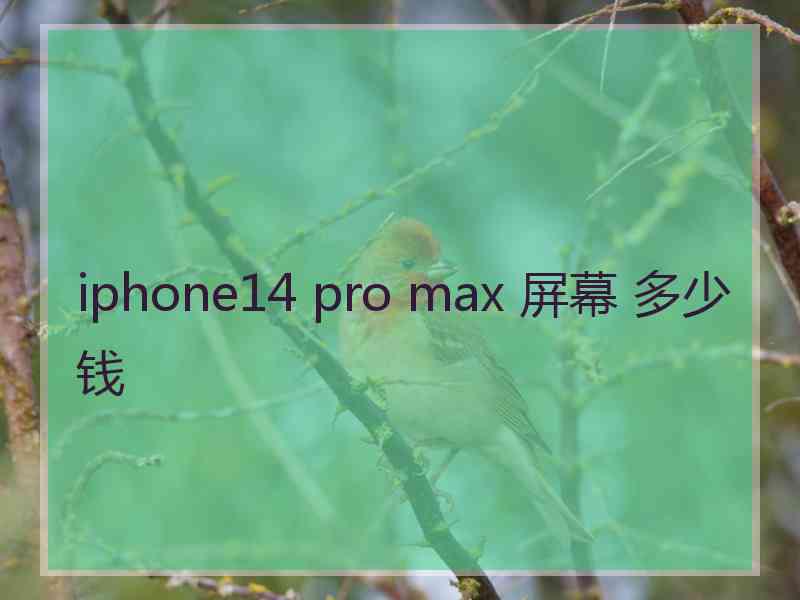 iphone14 pro max 屏幕 多少钱