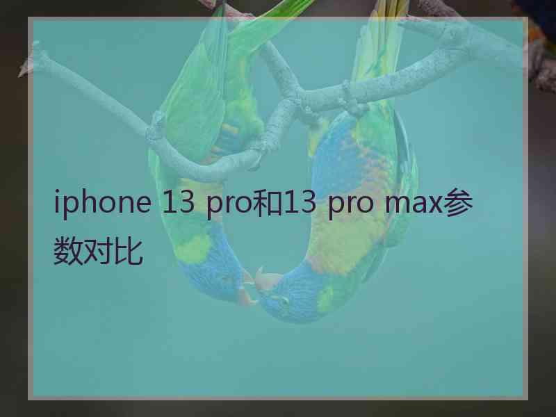 iphone 13 pro和13 pro max参数对比