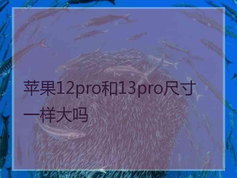 苹果12pro和13pro尺寸一样大吗