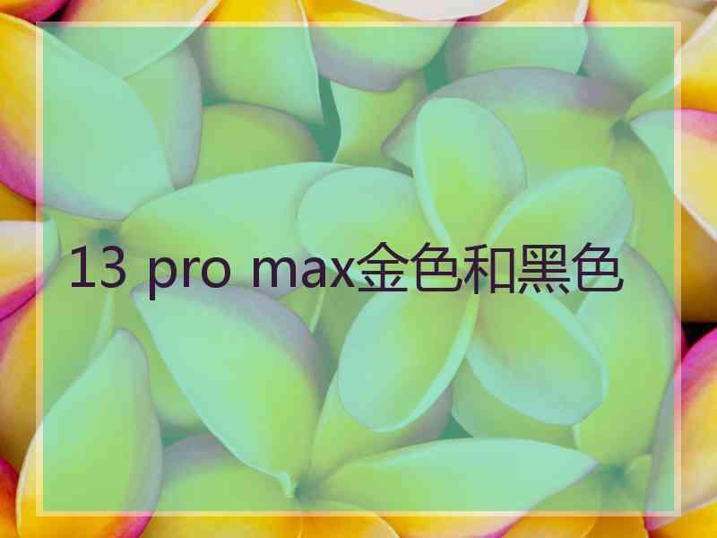 13 pro max金色和黑色