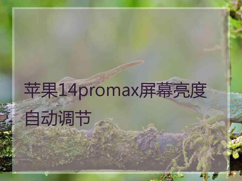 苹果14promax屏幕亮度自动调节