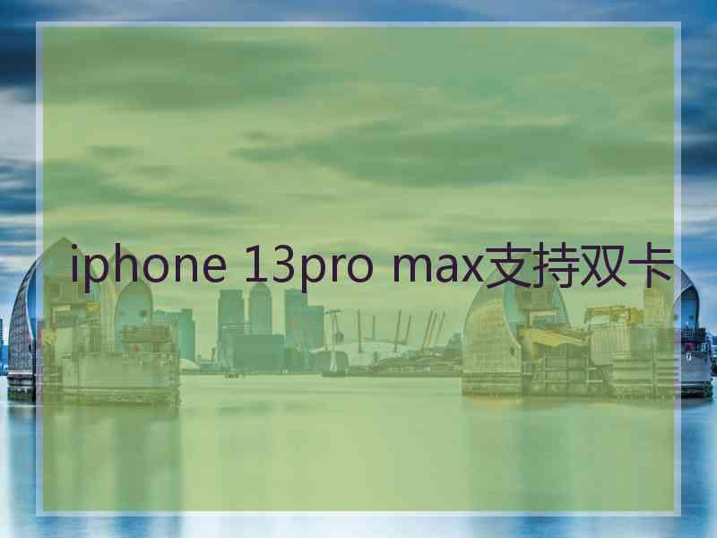 iphone 13pro max支持双卡