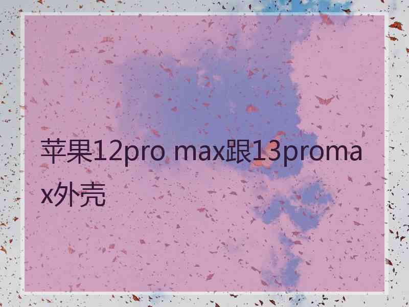 苹果12pro max跟13promax外壳